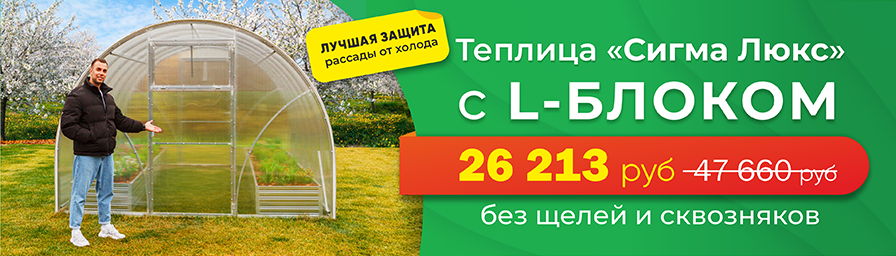 рекламный баннер